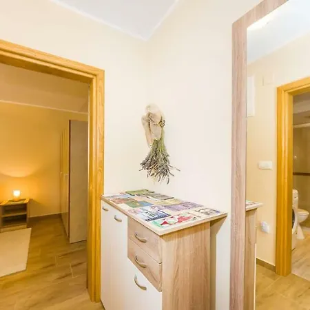 Apartman Leo 아파트 포세다르예
